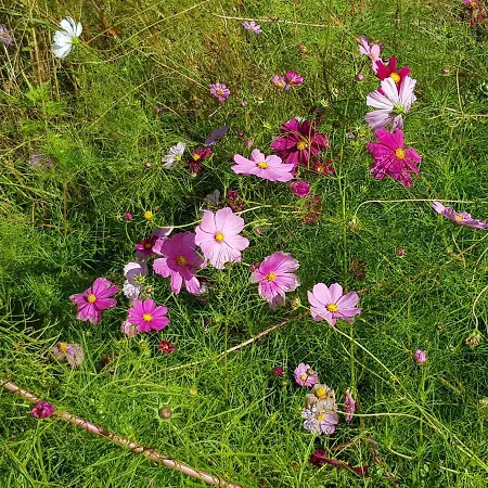 Pyrenées Atlantique 3* Saint-Pée-sur-Nivelle