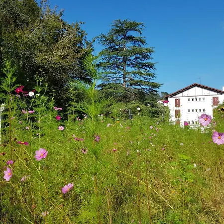 Hotel Pyrenees Atlantique 3*
