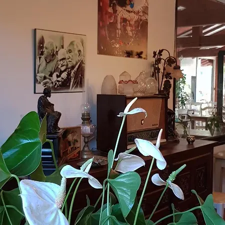 Pyrenées Atlantique Saint-Pée-sur-Nivelle