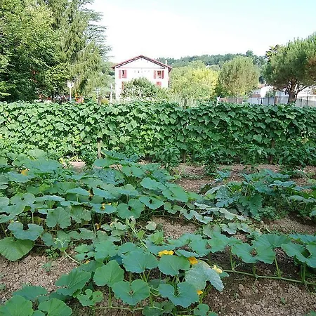 Hotel Pyrenées Atlantique 3*