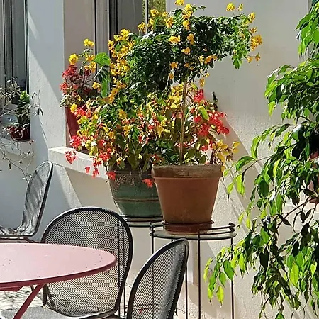 Pyrenées Atlantique Hotel