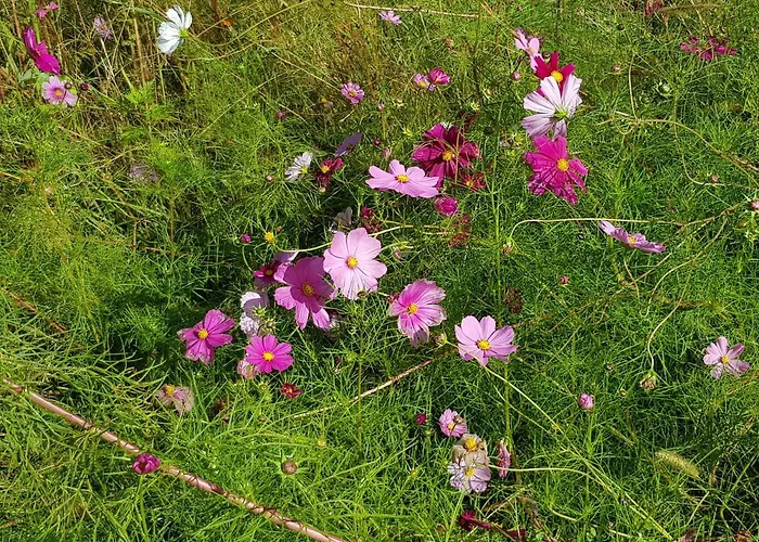 Pyrenees Atlantique 3* Saint-Pée-sur-Nivelle