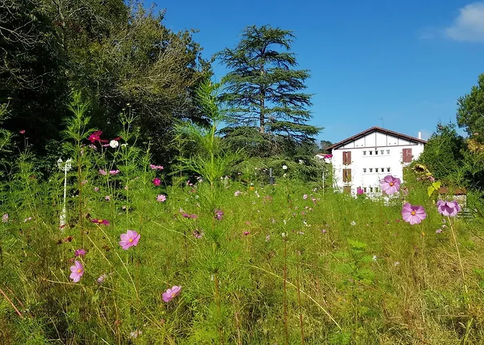 Hotel Pyrenees Atlantique 3*