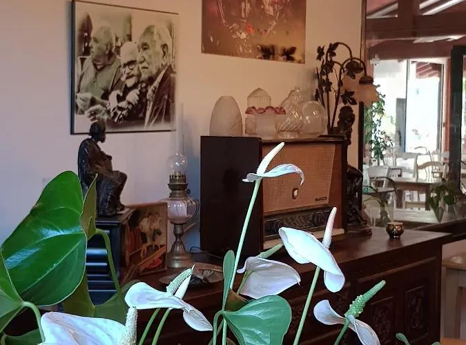 Pyrenees Atlantique Saint-Pée-sur-Nivelle