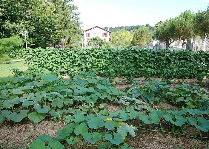 Szálloda Pyrenees Atlantique 3*